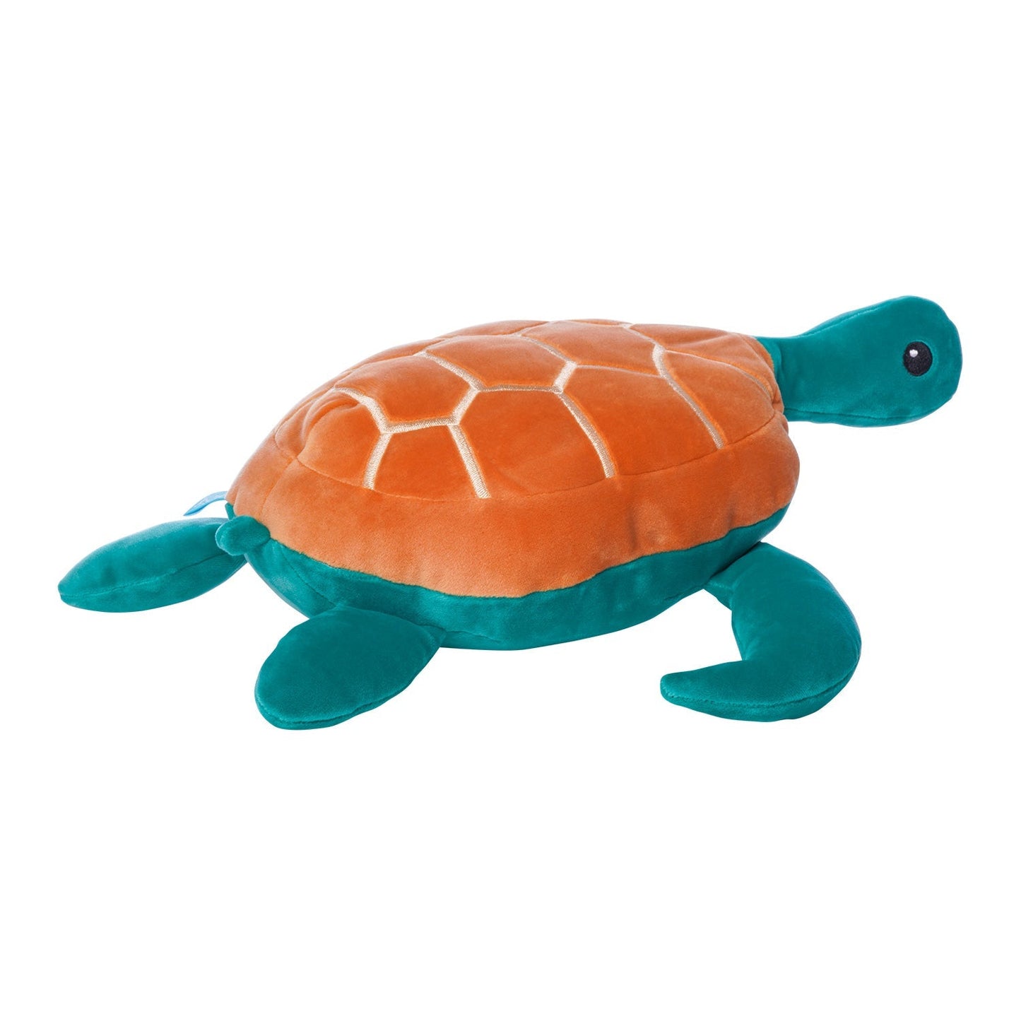 Samtige Salzwasserschildkröte