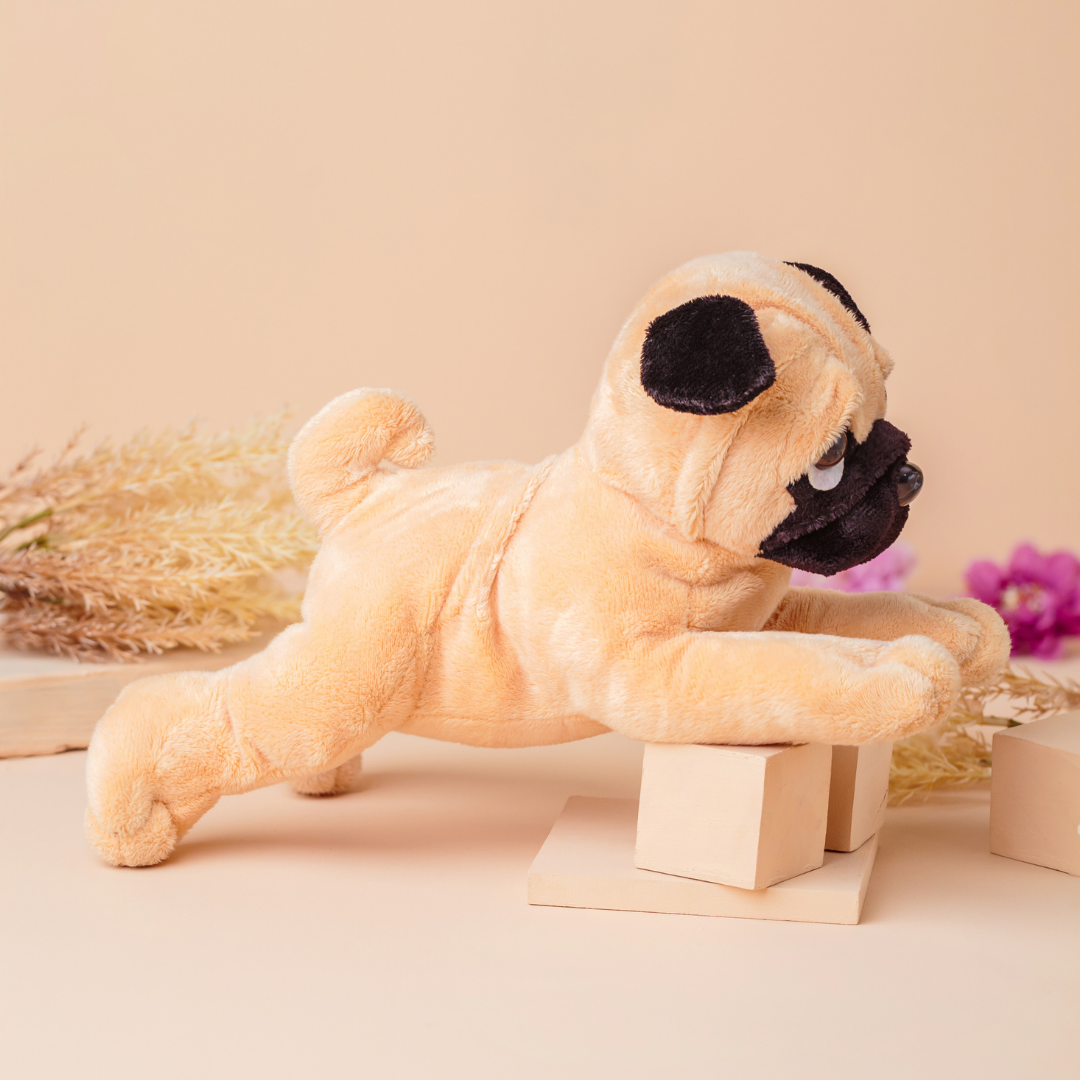 Puggy - Knuddeliger Spielkamerad