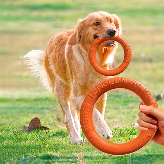 Robuster Kauring Hund