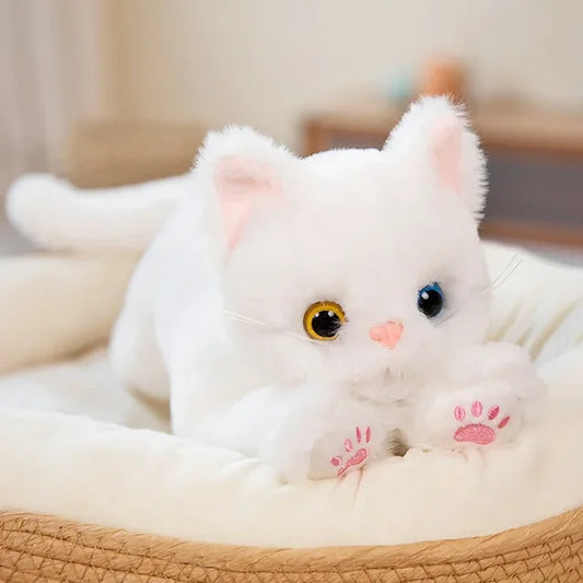 Zauberblick - Schneeweiße Kuschelkatze