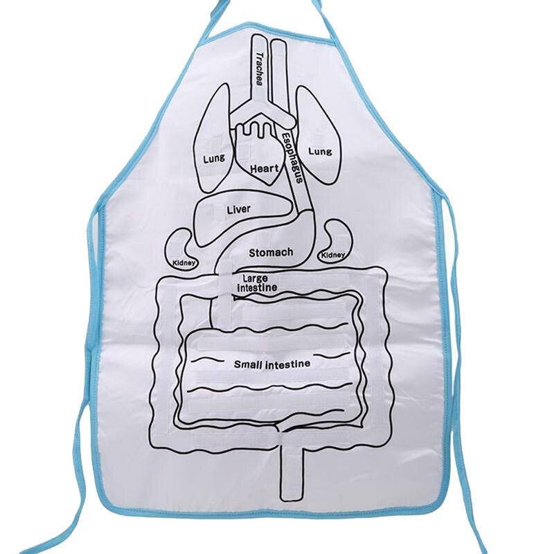 Anatomy apron  | den körper interaktiv studieren - organschürze