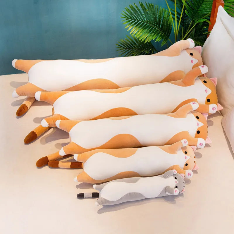 Langstrecken-Schnurrer – Kuschelkatz