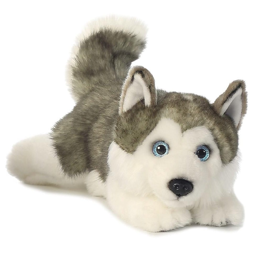 Husky - Treuer Kuschelfreund