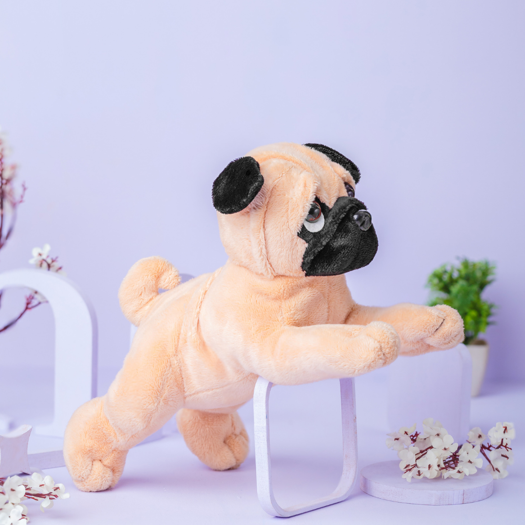 Puggy - Knuddeliger Spielkamerad