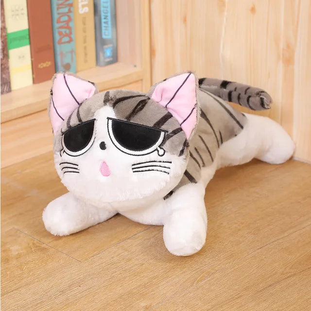 Niedliche Chi Katze Plüsch