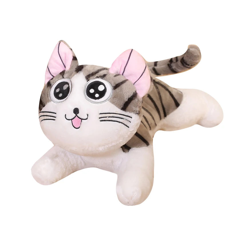 Niedliche Chi Katze Plüsch