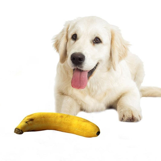 Bananenförmiges Quietschspielzeug für Hunde (2er-Set)