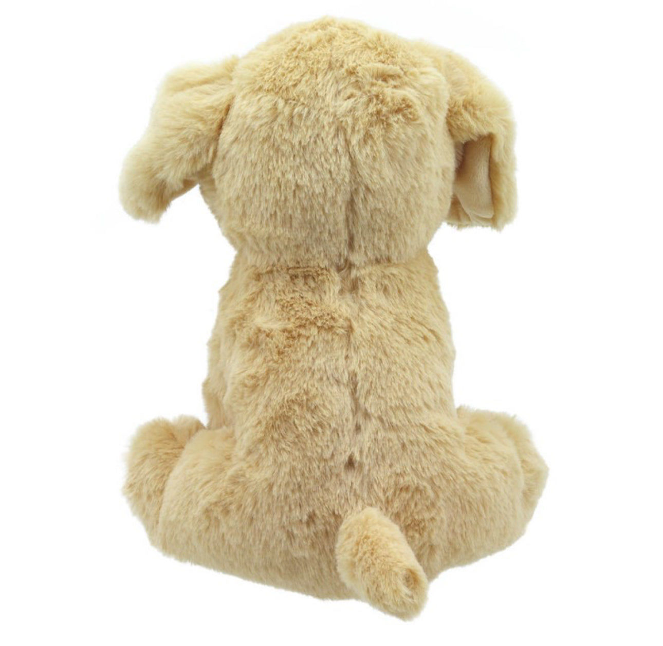 Lola - Kuschelliebe Labrador