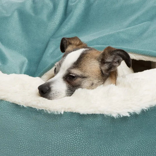 Relaxhöhle für hunde – CozyNest