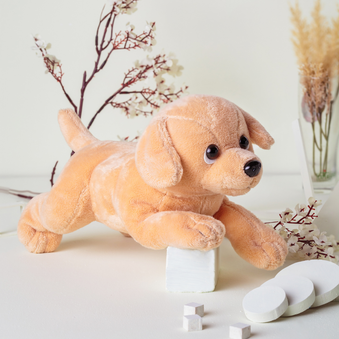 Peanut - Treuer Kuschelhund
