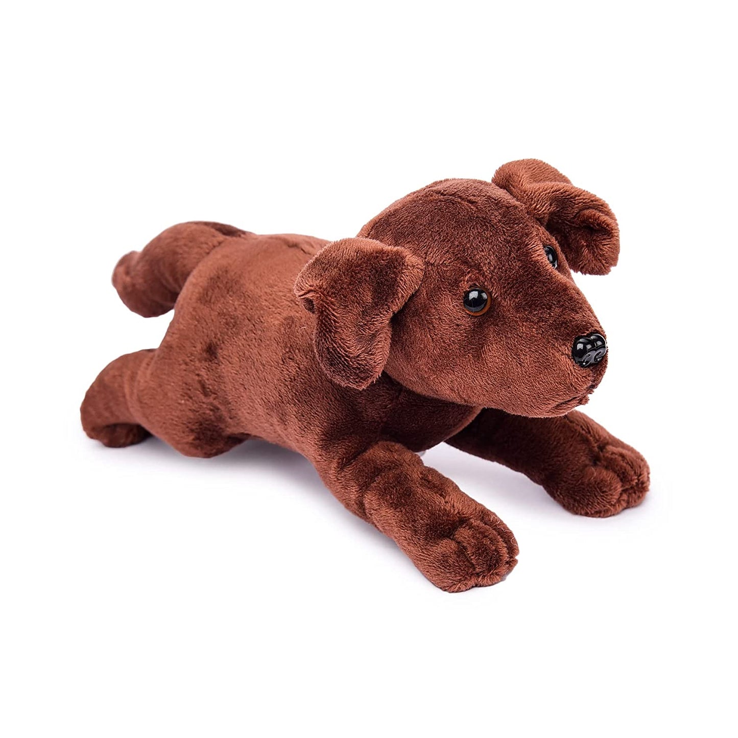 Liebenswerter Labrador Kuschelhund