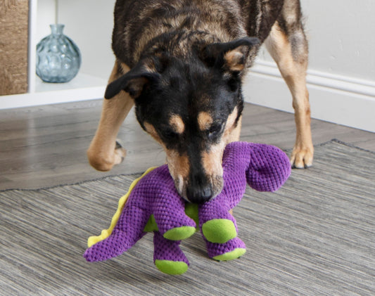 Urzeit-Spaß - Dinosaurier Spielzeug