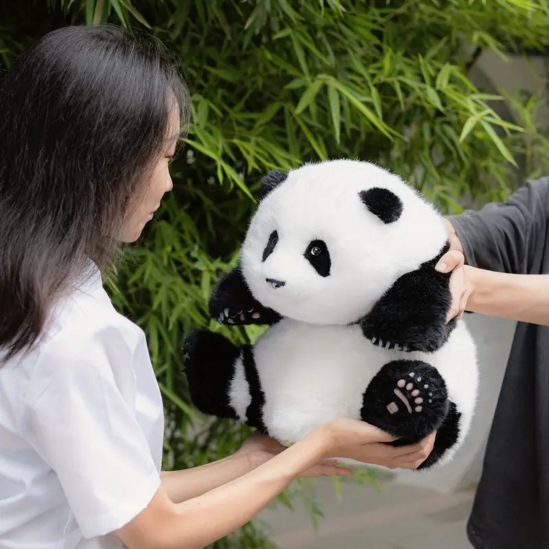 Kuscheltier Panda Plüsch als Liebesgeschenk