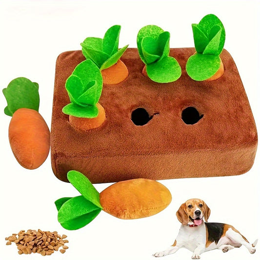 Karotten - Plüsch Hundespielzeug Set