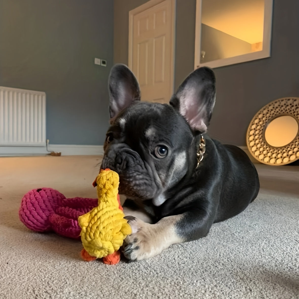 Ente Kauspielzeug Hund Seil