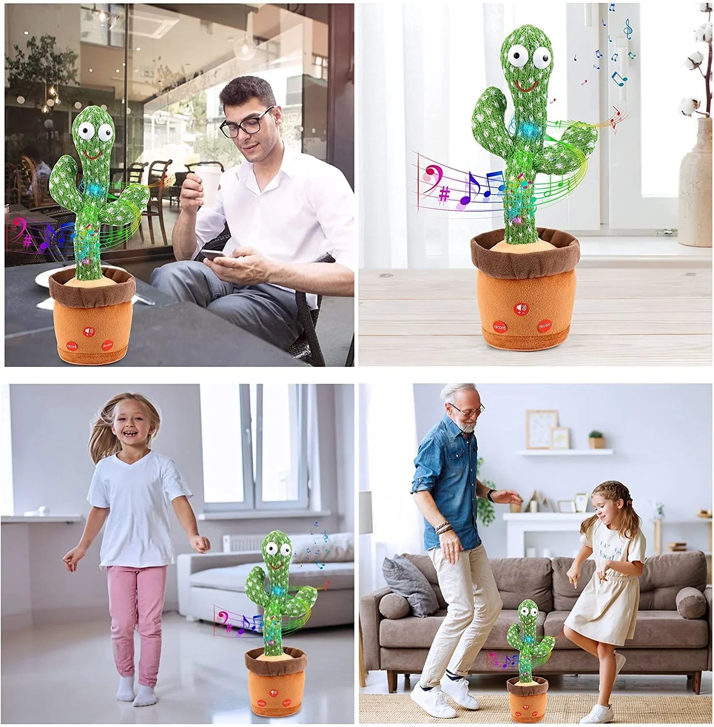 Grooviger kaktus