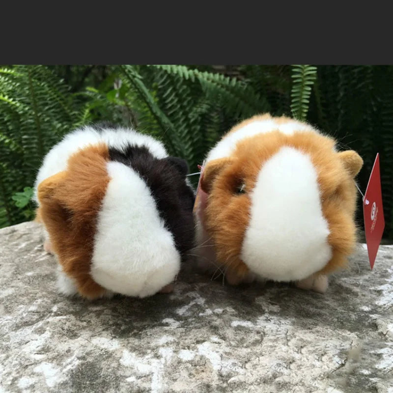 Flauschiges Meerschweinchen