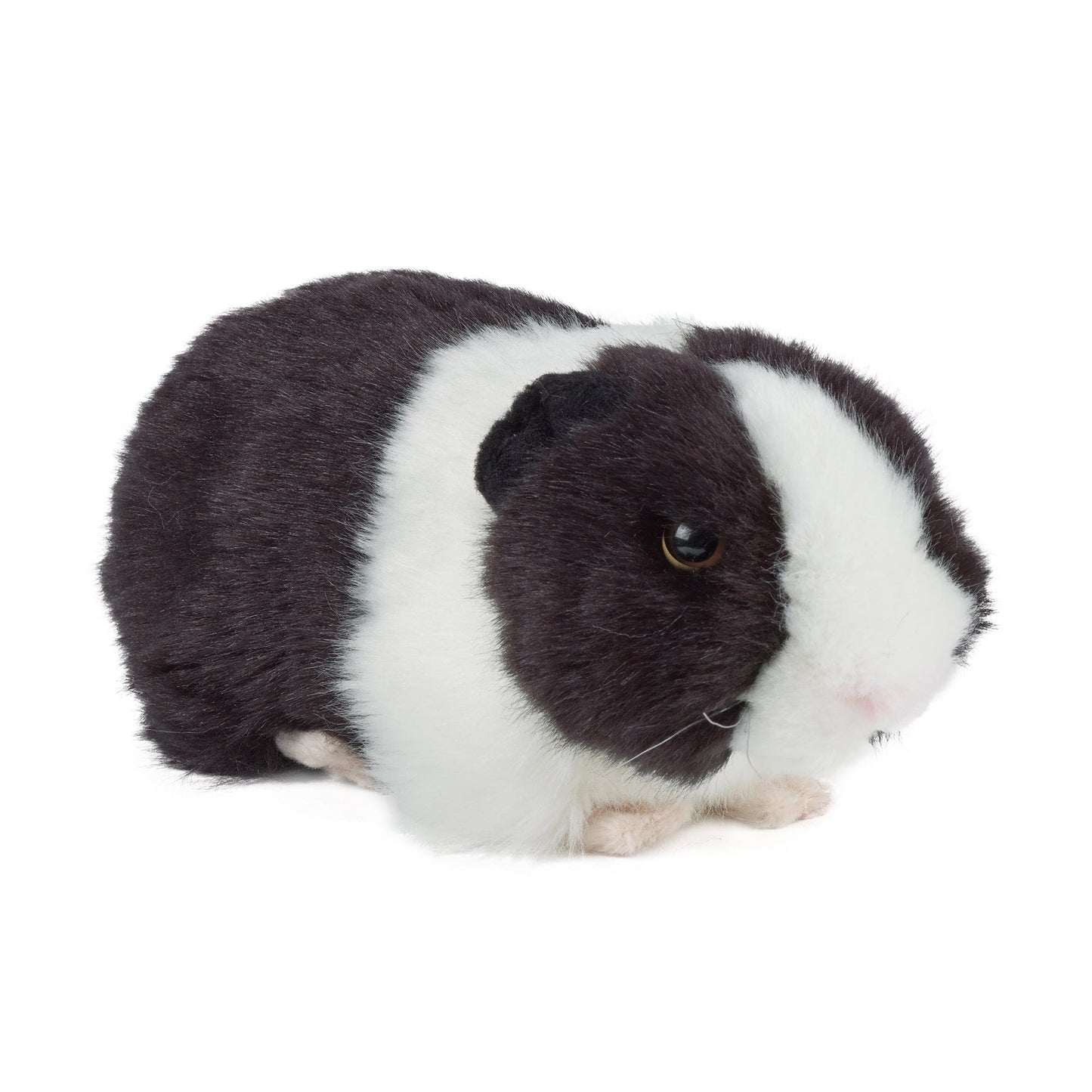 Pips - interaktives meerschweinchen