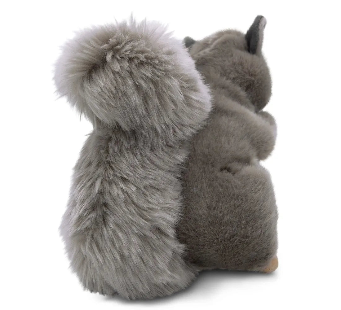 Flauschiger Eichhörnchen-Freund