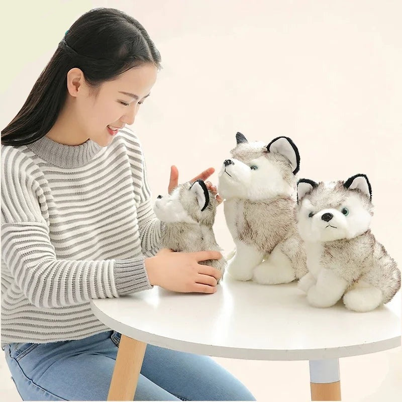 Kuscheliger Husky Welpe