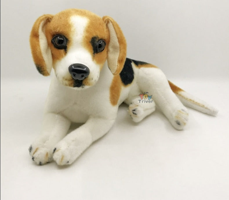 image of an adorable beagle stuffed animal plush toy in white background - lying