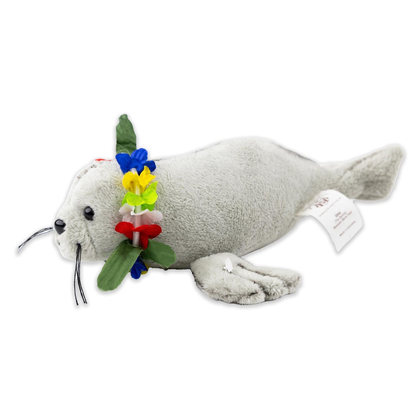 Hawaii Mönchsrobbe