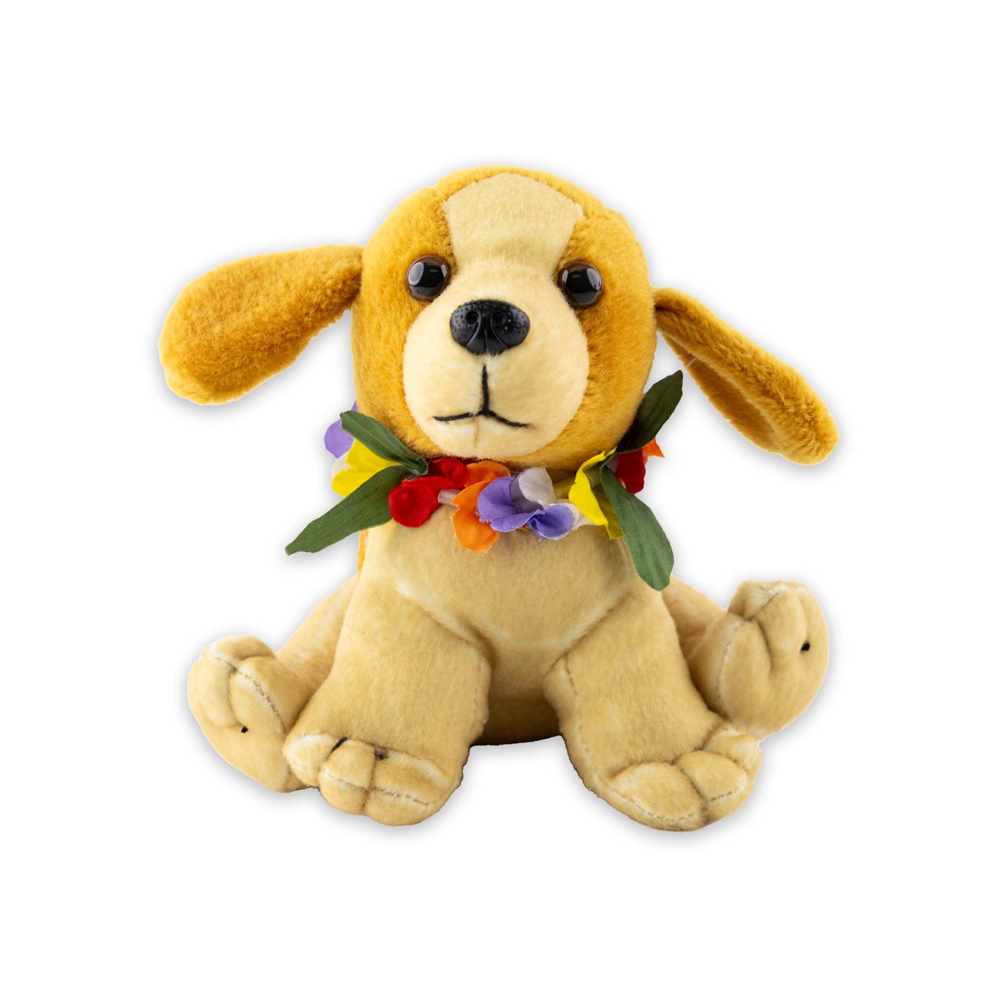Hawaiianischer Poi Hund