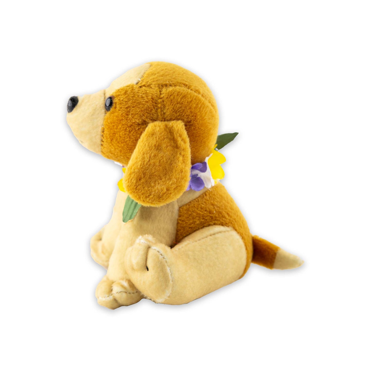 Hawaiianischer Poi Hund