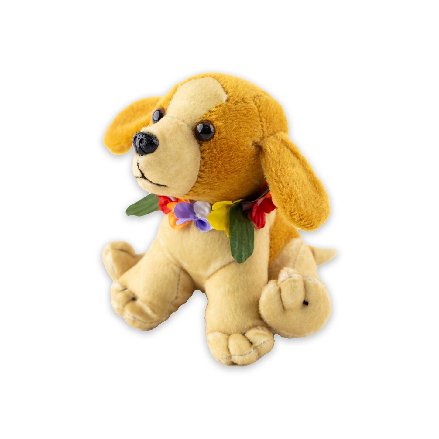Hawaiianischer Poi Hund