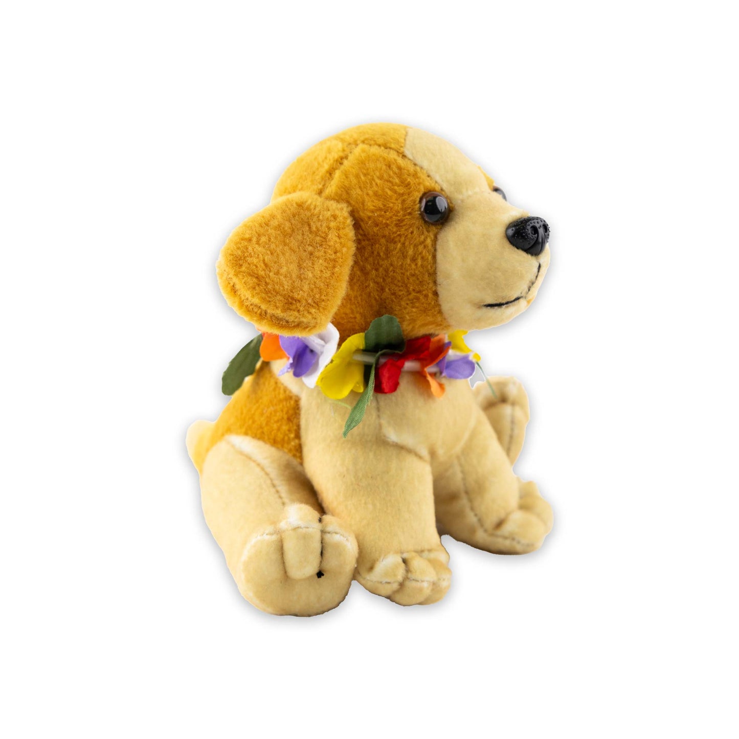 Hawaiianischer Poi Hund