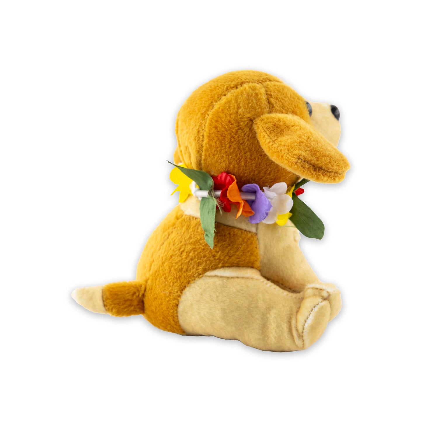 Hawaiianischer Poi Hund