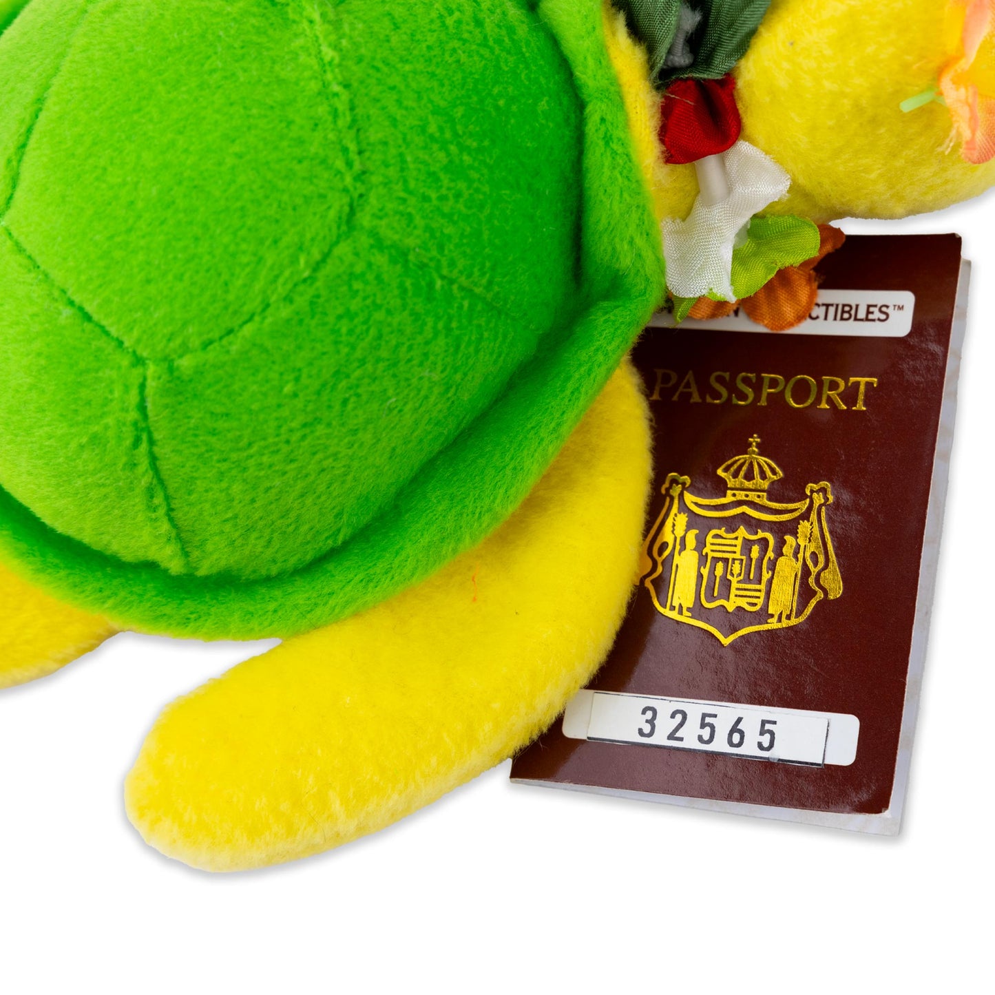 Hawaiianische Sammelmeeresschildkröte