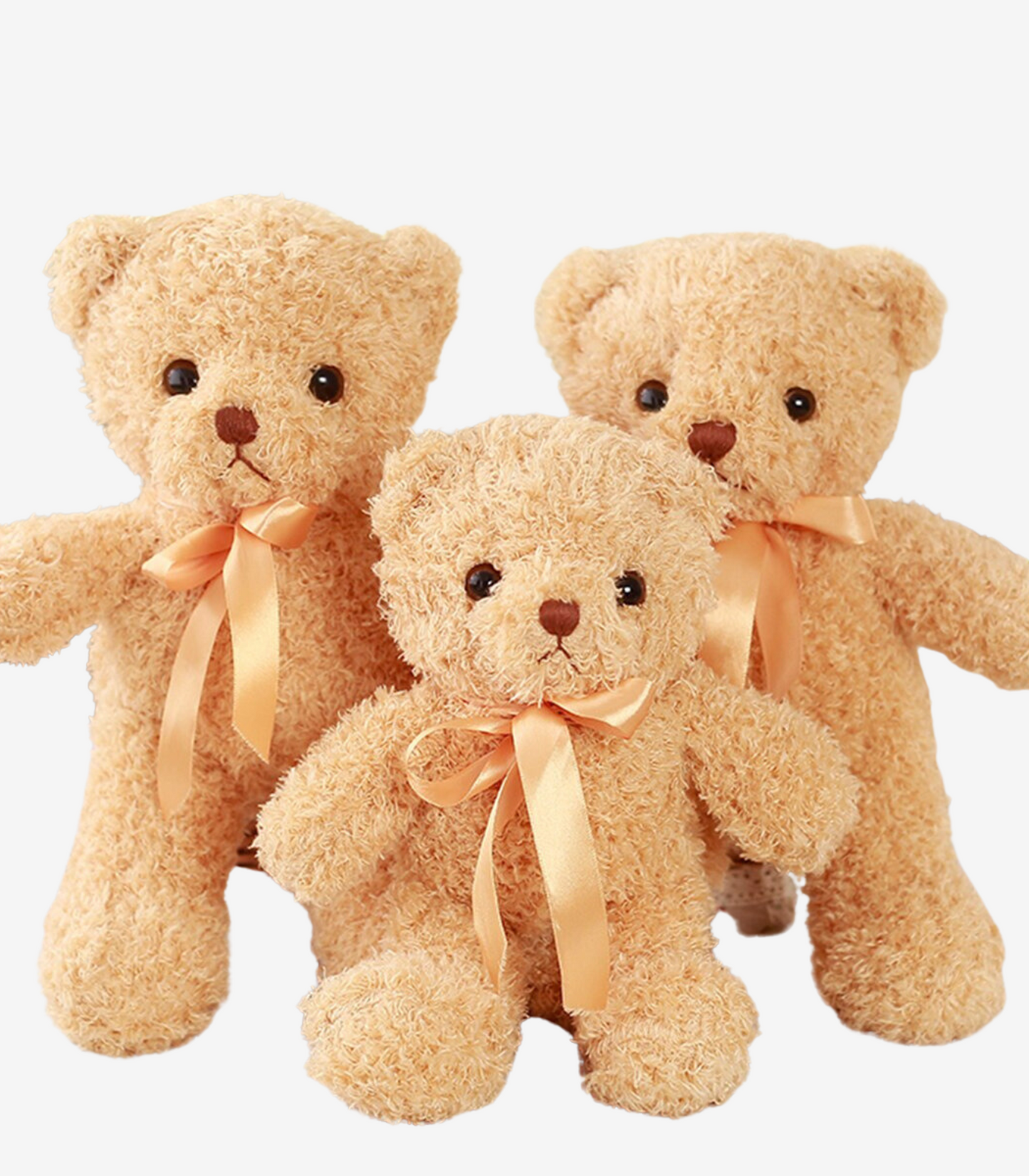 Plüschbär Plüschtier