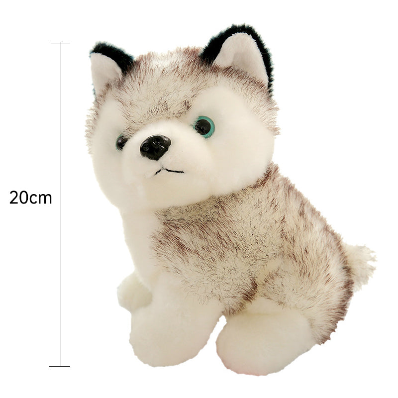 Kuscheliger Husky Welpe