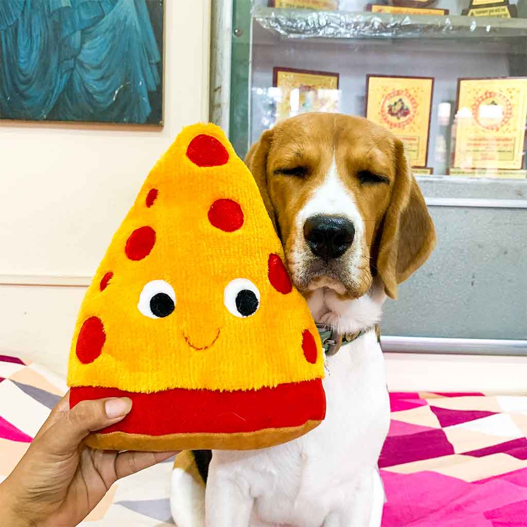 Knuspriger Pizzaspaß