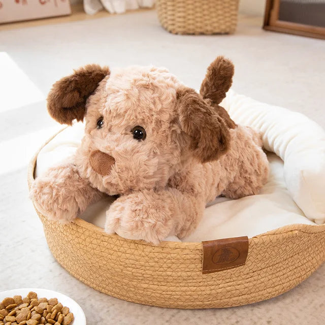 Kuscheliger Spielgefährte Hund