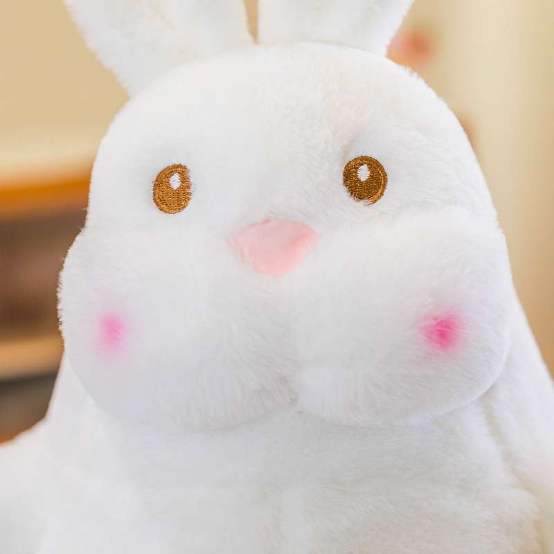 Süßer Weißer Hase