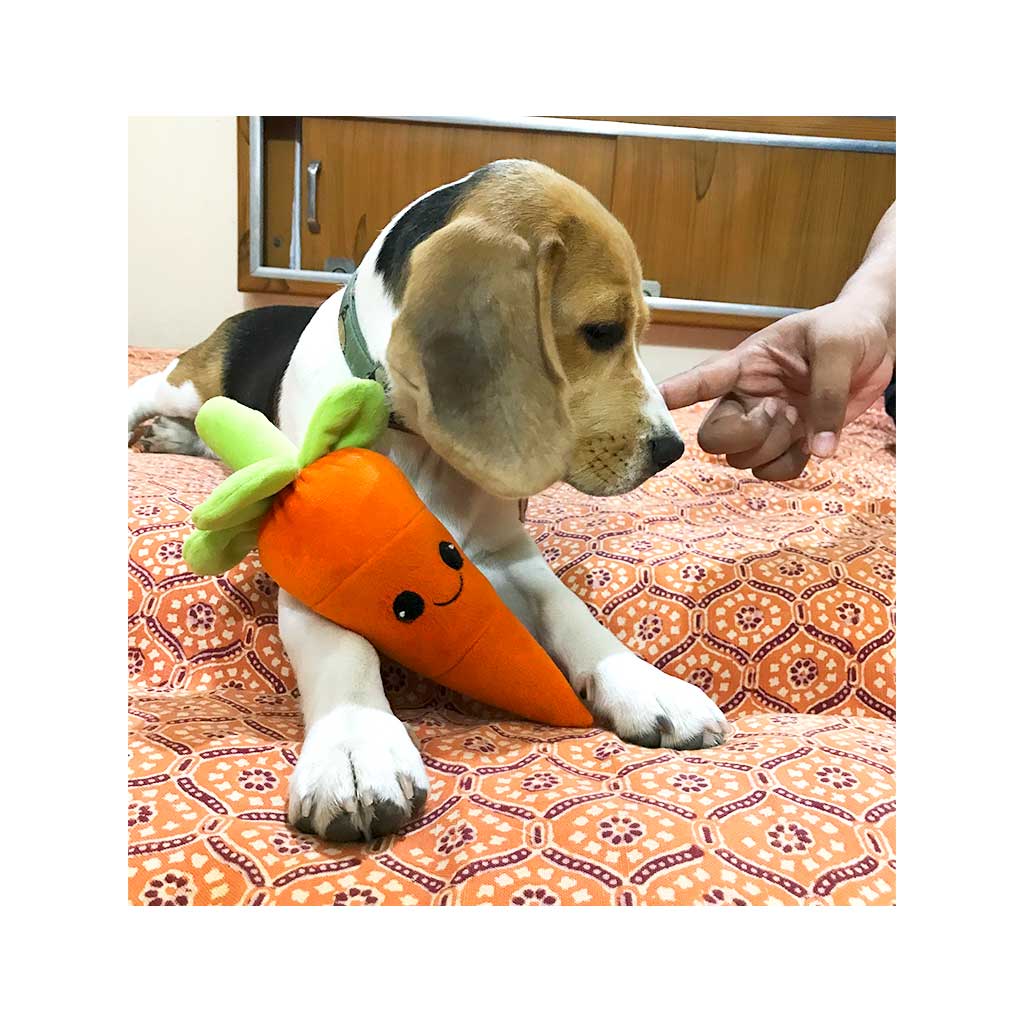 Rolly-Polly Karotten-Plüschspielzeug für Hunde