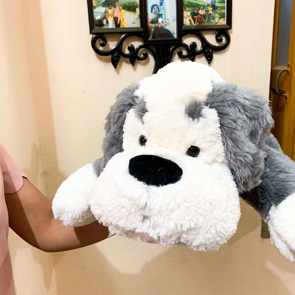 Kuschelhund