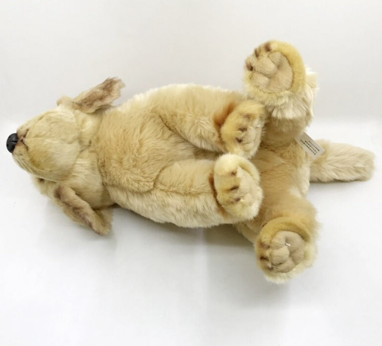 Sonnenstrahl - Golden Retriever Welpe