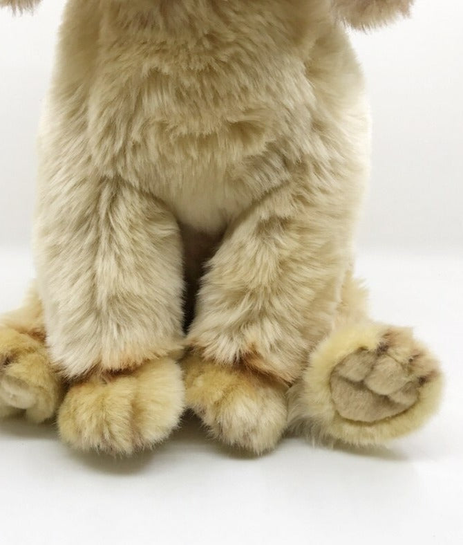 Sonnenstrahl - Golden Retriever Welpe