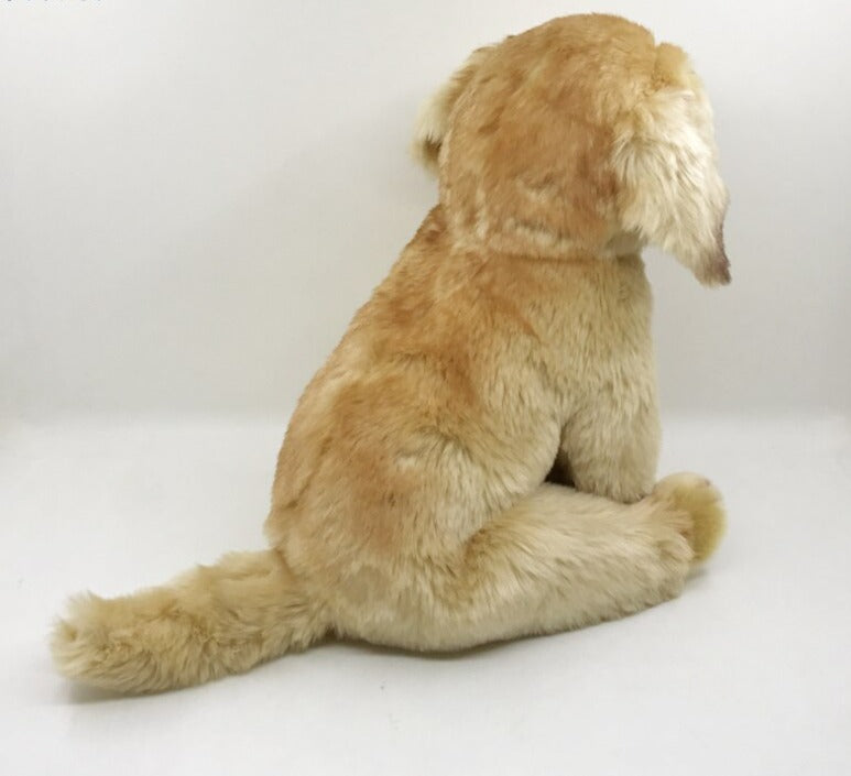 Sonnenstrahl - Golden Retriever Welpe