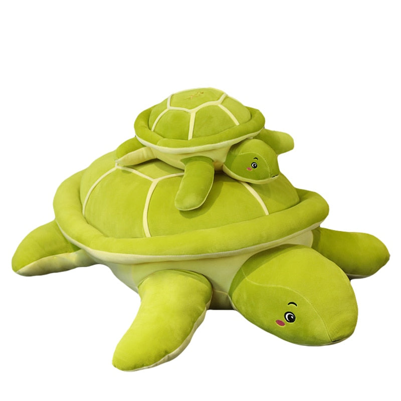 Shelly – Kuschelige Grüne Schildkröte