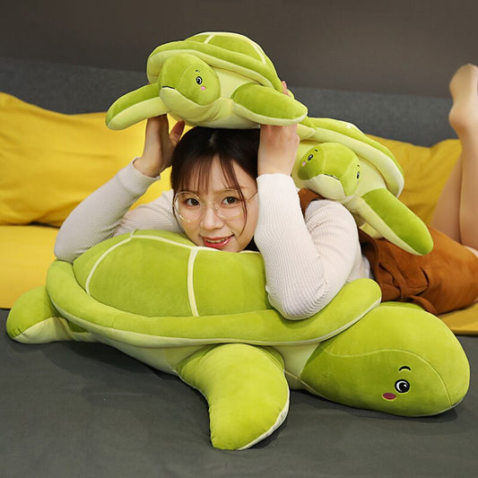 Shelly – Kuschelige Grüne Schildkröte