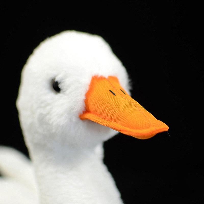 Lebensechtes Cole Duck Plüschtier