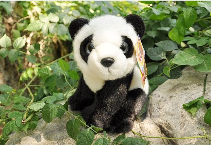 Entzückender Panda-Kuschelfreund