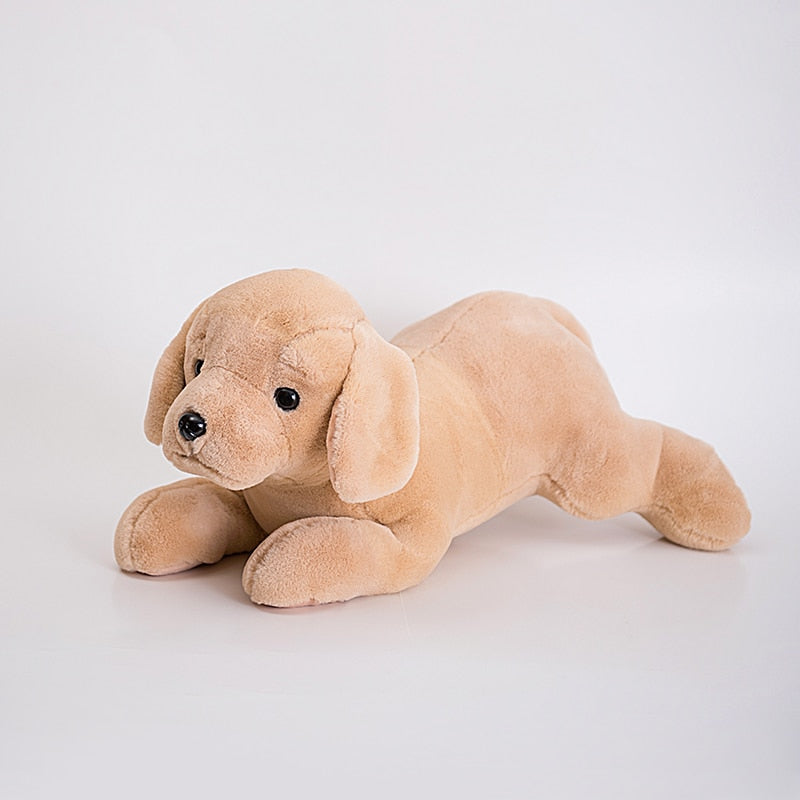 Großer Golden Retriever Kuschelhund