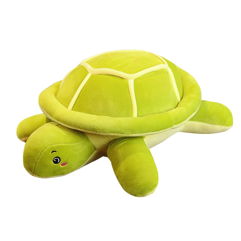 Shelly – Kuschelige Grüne Schildkröte