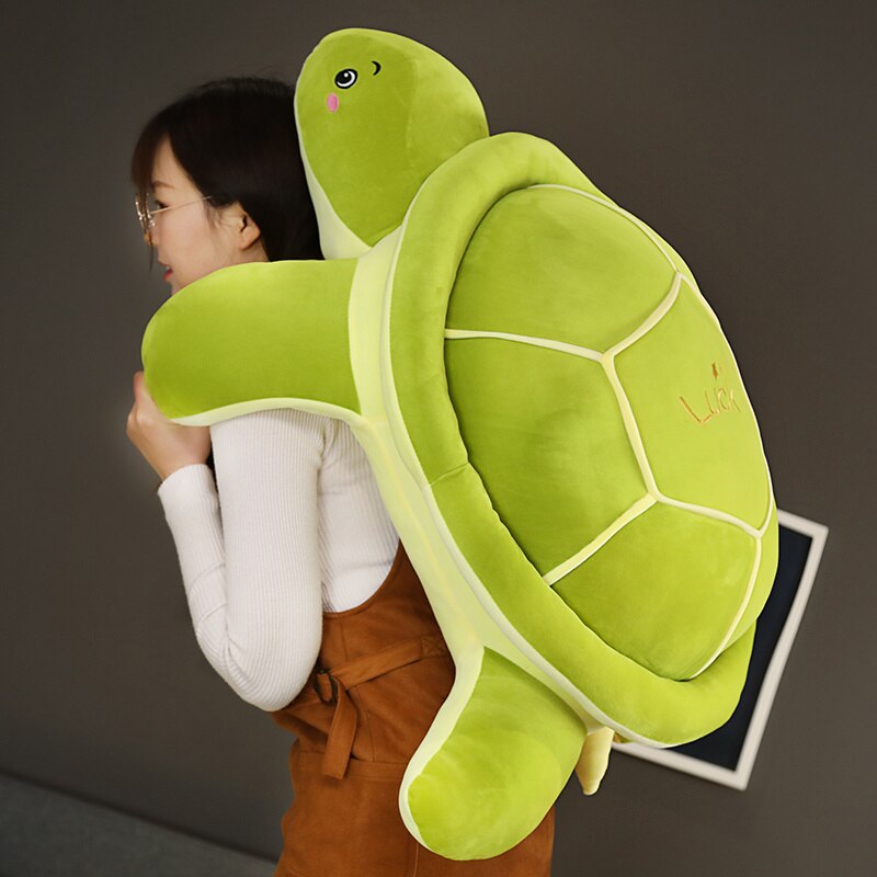 Shelly – Kuschelige Grüne Schildkröte