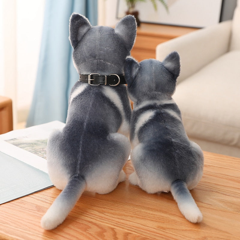 Eisblaue Augen - Husky Plüschtier